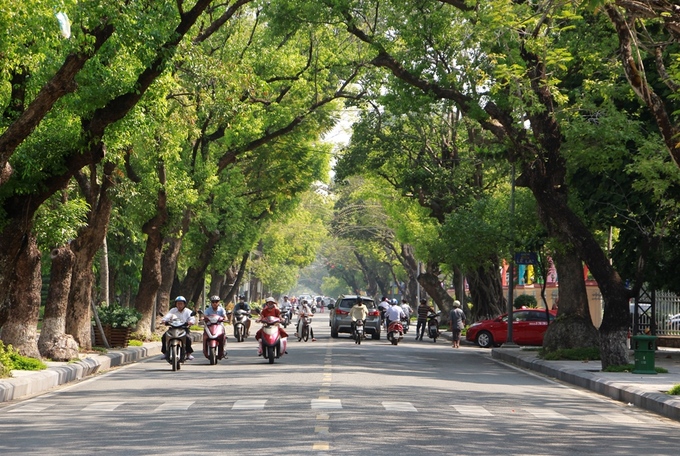 Thành phố xanh của Việt Nam