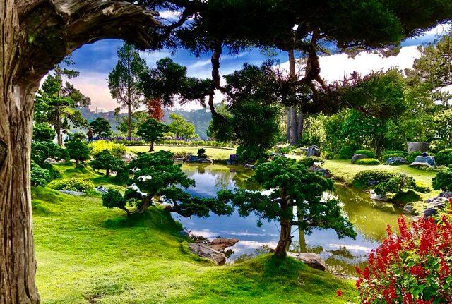 Không cần tới Hàn Quốc hay Nhật Bản, ở Việt Nam có một nơi cũng có thể ngắm rừng lá phong cực mãn nhãn - Ảnh 8.