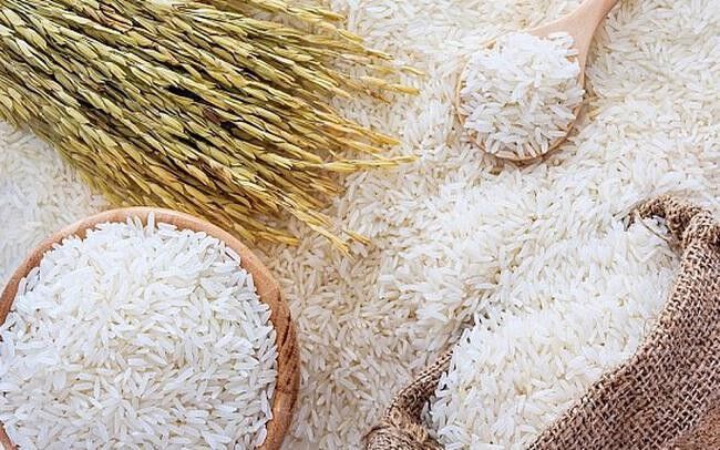 giá lúa gạo