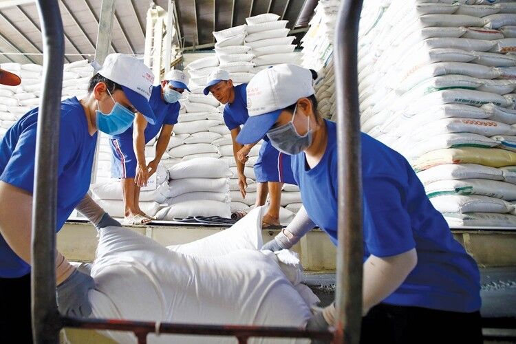 Xuất khẩu gạo sẽ tiếp tục giữ giá cao trong tháng 6