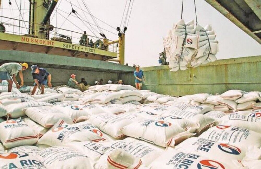 Giá lúa gạo hôm nay 8/6: Giá gạo xuất khẩu tiếp tục ở mức cao