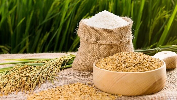 Giá lúa gạo hôm nay 18/8: Giá gạo giảm 50 – 150 đồng/kg