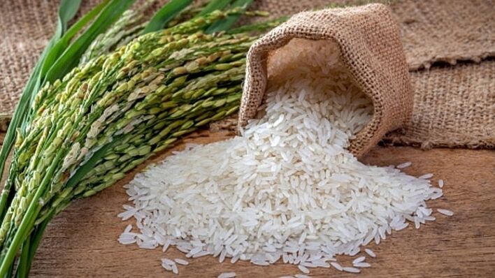 Giá lúa gạo hôm nay 13/9/2022: Giá lúa gạo đồng loạt tăng