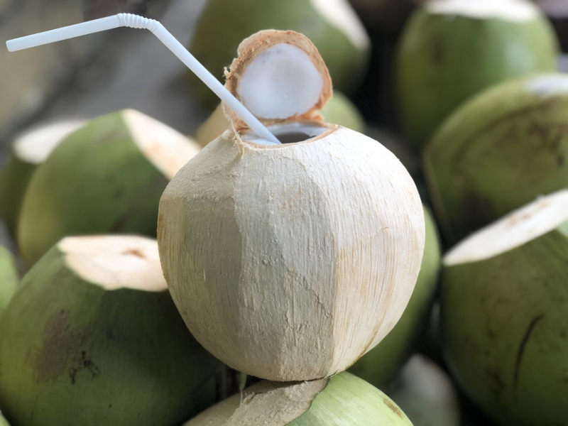 Nước dừa là thức uống giàu dinh dưỡng và khoáng chất, được rất nhiều người ưa thích