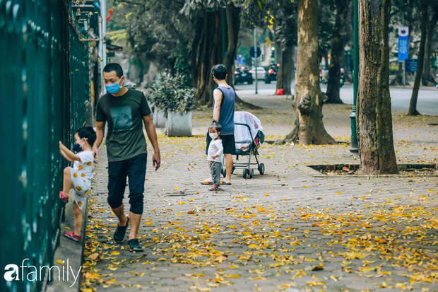 Cuối tháng 4, con phố lãng mạn nhất Hà Nội đón mùa sấu thay lá vàng rực khắp con đường - Ảnh 5.