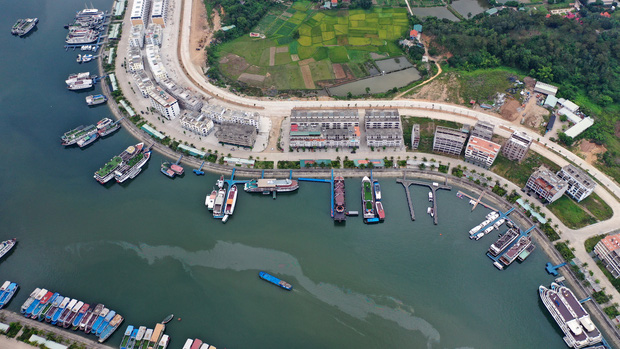 Biển Bãi Cháy đông trở lại, Quảng Ninh bắt đầu kích cầu đón khách du lịch sau Covid-19 - Ảnh 14.
