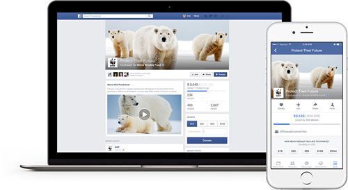 Facebook đang thử nghiệm một công cụ hỗ trợ các tổ chức phi lợi nhuận