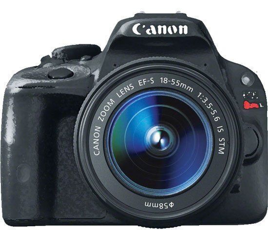 Canon SL2, Máy ảnh, EOS, DSLR, triển lãm hình ảnh
