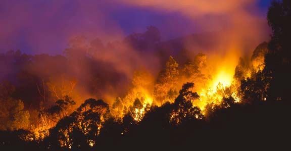 IBM hỗ trợ thảm hoạ cháy rừng