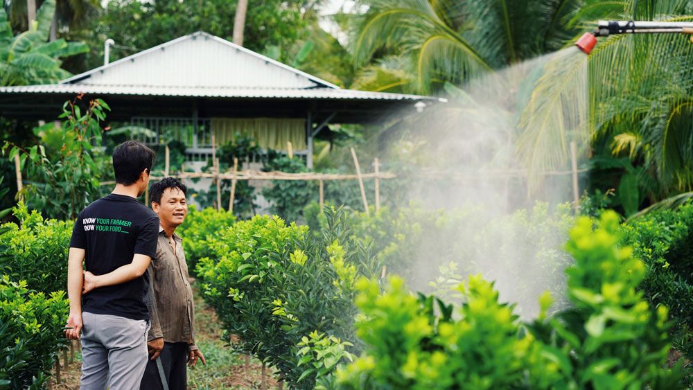 Tôn vinh nông sản Việt bằng trải nghiệm tích cực từ thương mại điện tử