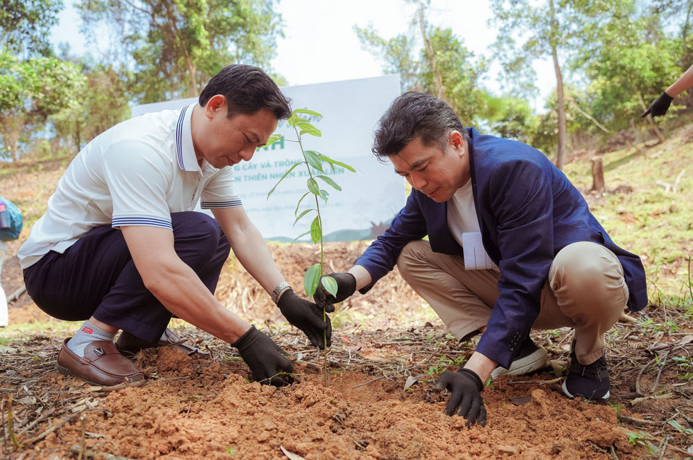 Panasonic tích cực chung tay tăng cường tín chỉ carbon rừng ở Việt Nam