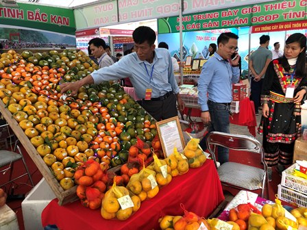 Hội nghị giới thiệu sản phẩm cam, quýt và sản phẩm OCOP của tỉnh Bắc Kạn tại Hà Nội