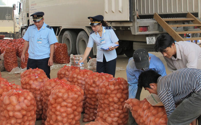 Kiểm tra hàng nông sản trước khi xuất khẩu sang Trung Quốc tại cửa khẩu Lào Cai.