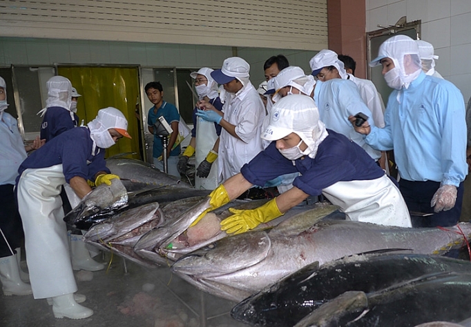 Một trong những điều kiện xóa thẻ vàng IUU là không mua hải sản bất hợp pháp