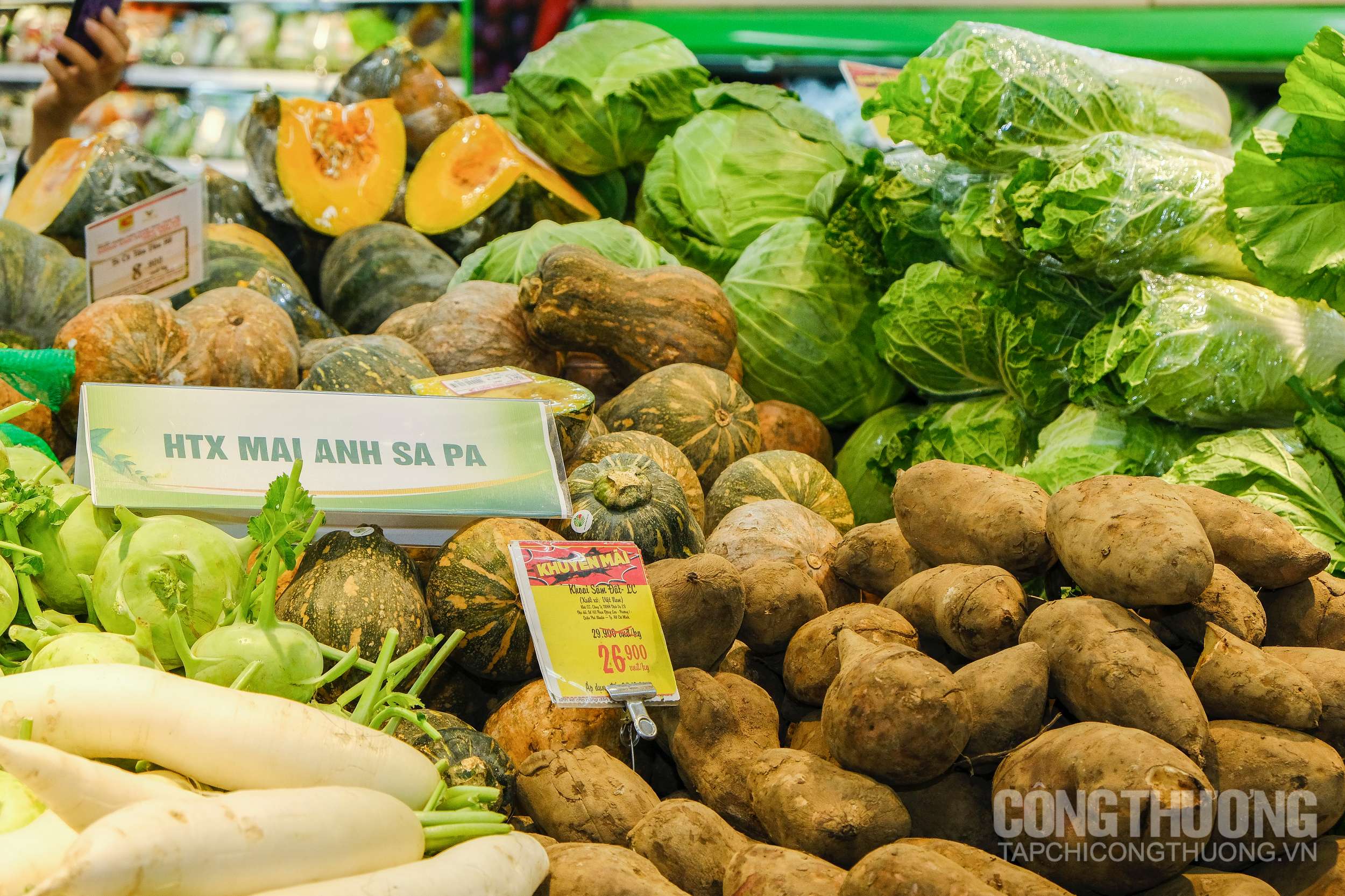 Sản lượng nông sản an toàn Lào Cai tiêu thụ tại hệ thống Big C và GO! đang tăng nhanh