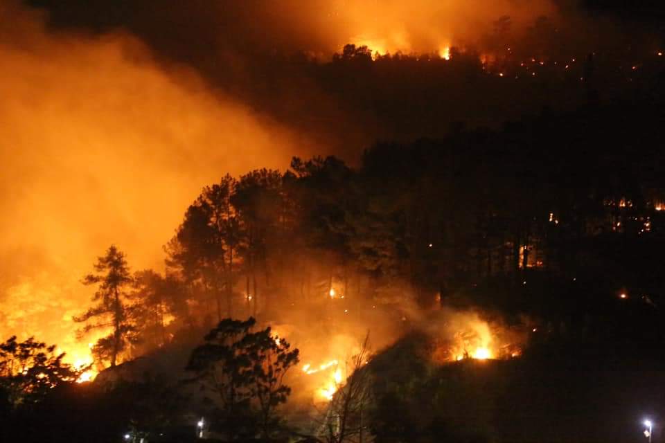 Cháy rừng Hương Sơn