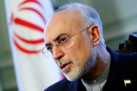  Giám đốc cơ quan năng lượng hạt nhân Iran Ali Akbar Salehi
