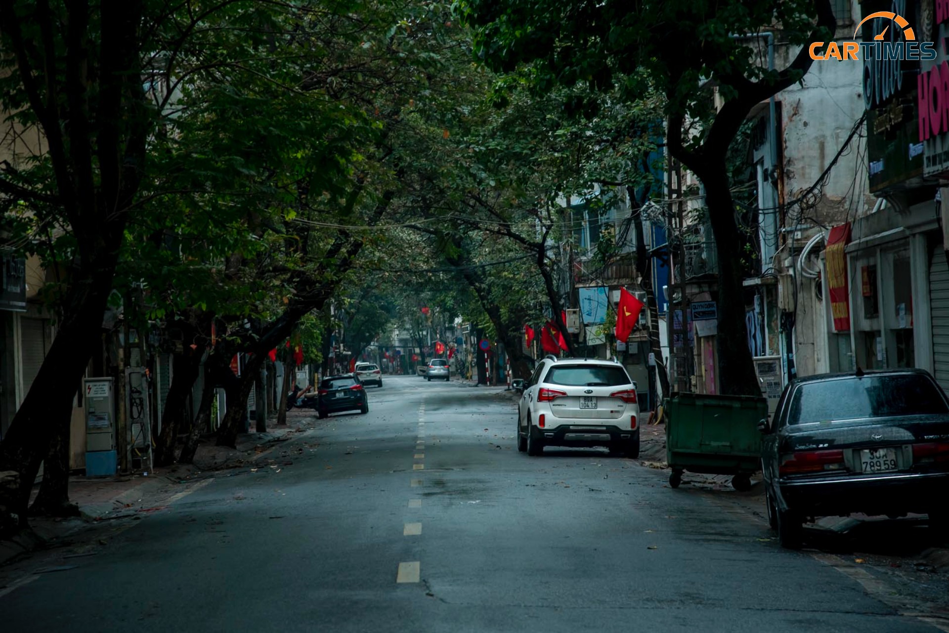 Những hàng cây khẳng khiu trên phố – một trong những nét riêng của Hà Nội