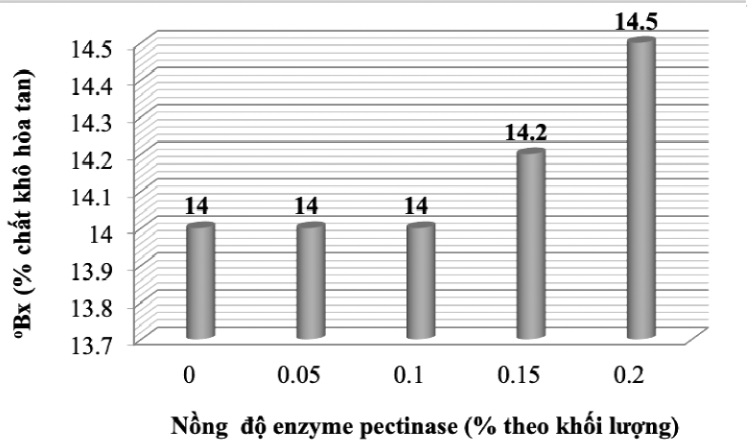 Ảnh hưởng của enzyme pectinase đến Bx dịch thu hồi