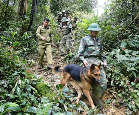 BĐBP Nghệ An phối hợp với lực lượng Công an Lào tuần tra song phương kết hợp bảo vệ rừng tiếp giáp