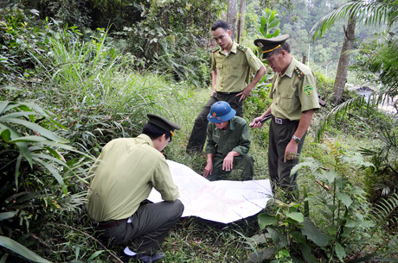 Cán bộ Ban Quản lý rừng đầu nguồn Yên Lập, Quảng Ninh kiểm tra hiện trạng rừng đầu nguồn.
