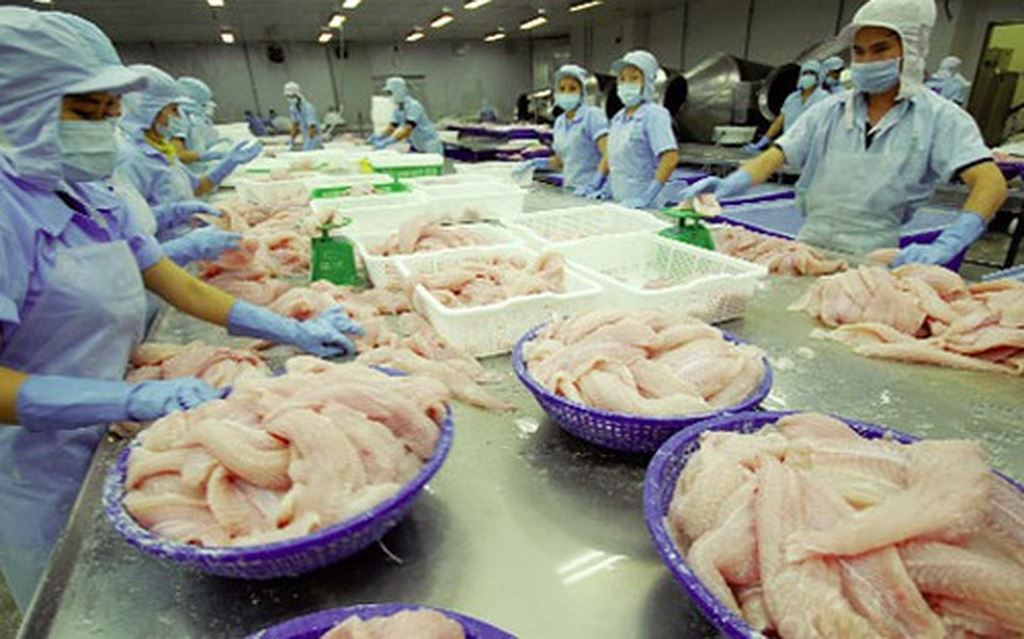 Thủy sản là mặt hàng xuất khẩu chủ lực của Việt Nam sang EU
