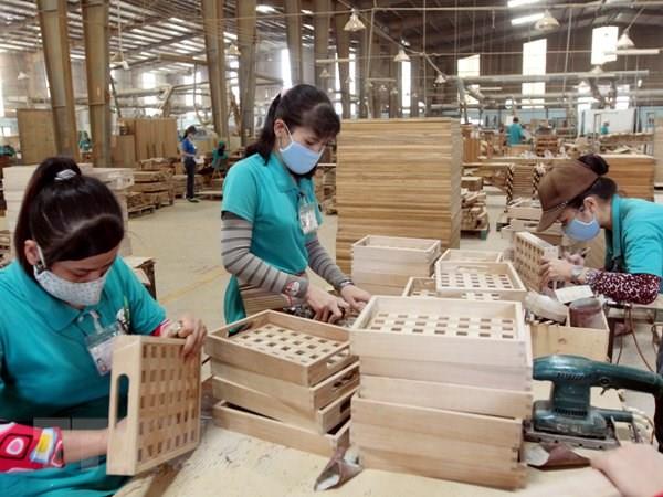 sản xuất gỗ xuất khẩu