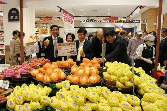 Thanh long Việt Nam được đón nhận tại hệ thống siêu thị AEON, Nhật Bản