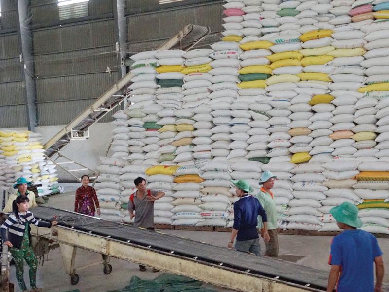EU dành cho Việt Nam hạn ngạch 80.000 tấn gạo/năm