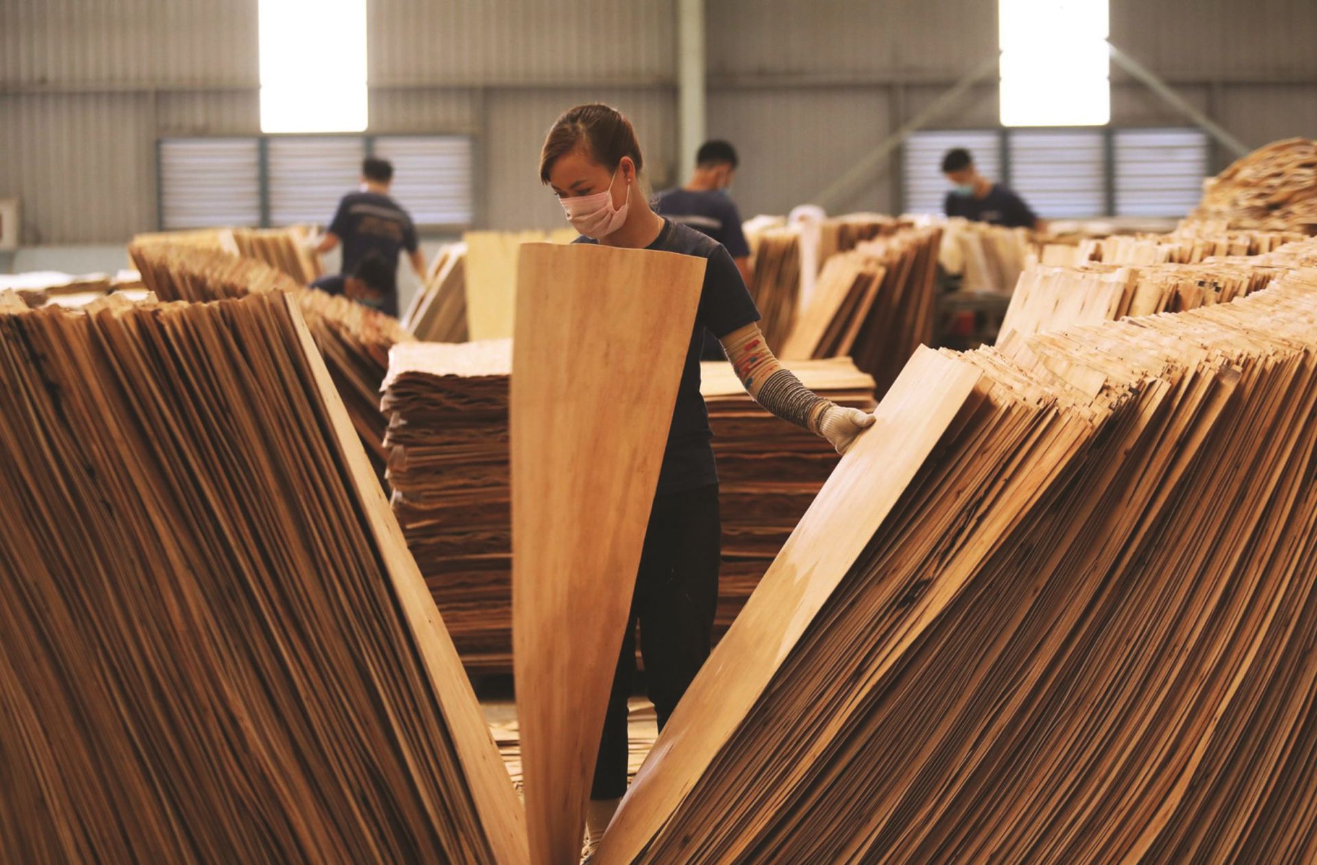 Có 4/11 mặt hàng trong danh sách cảnh báo là sản phẩm gỗ, cho thấy nguy cơ lớn mà ngành gỗ trong nước đang phải đối mặt tại thị trường Hoa Kỳ