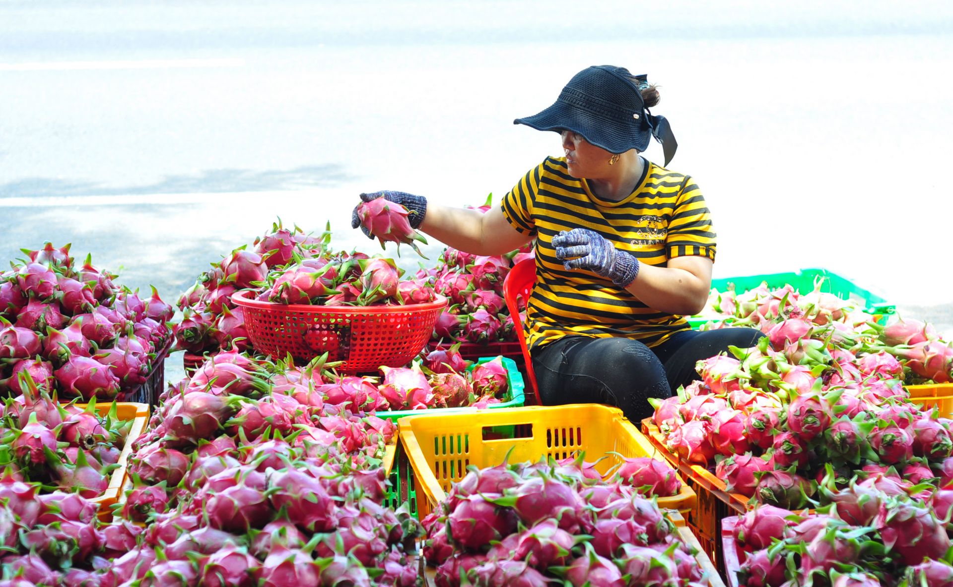 Hoạt động xúc tiến thương mại trực tuyến sẽ cùng phương thức truyền thống đưa sản phẩm hàng hóa Việt Nam đến nhiều thị trường hơn