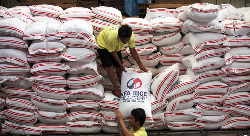 Philippines nhập khẩu gạo