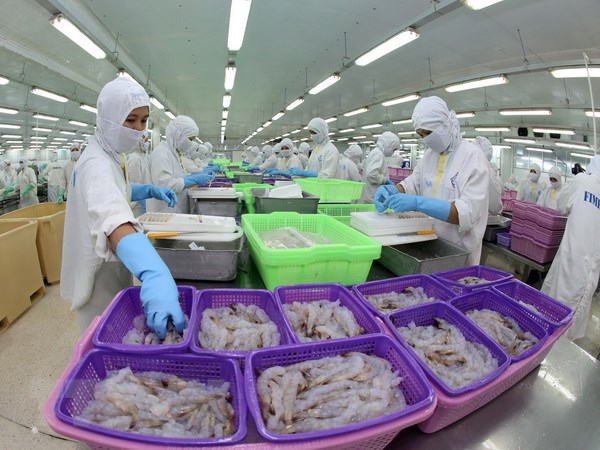 Xuất khẩu tôm Việt Nam sang EU giảm liên tục từ tháng 3 đến tháng 6 