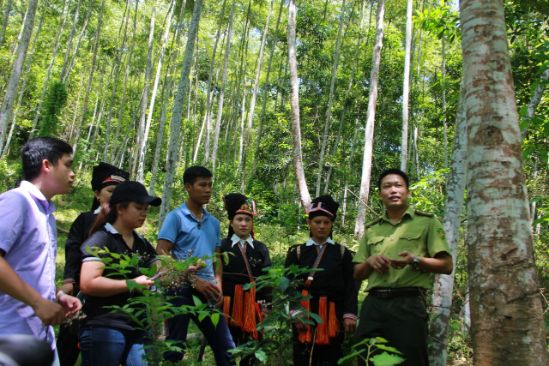 không chuyển rừng tự nhiên thuộc quy hoạch rừng đặc dụng sang mục đích khác để triển khai các hoạt động khoáng sản