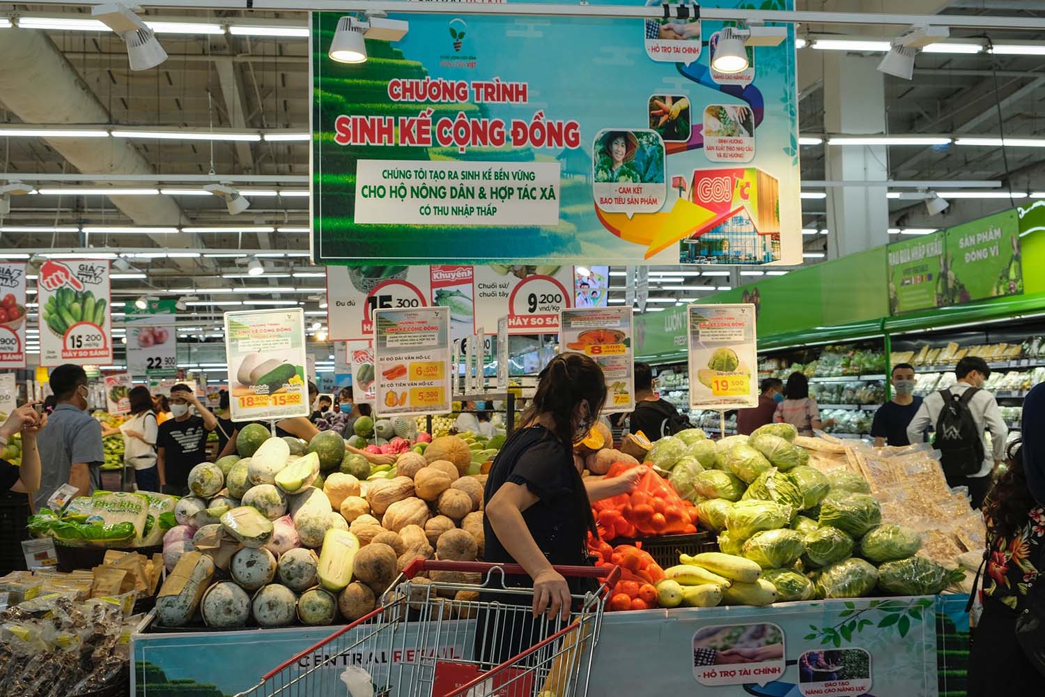 Các sản phẩm rau củ của dự án Sinh kế Cộng đồng tại Vân Hồ bày bán tại siêu thị Big C Thăng Long