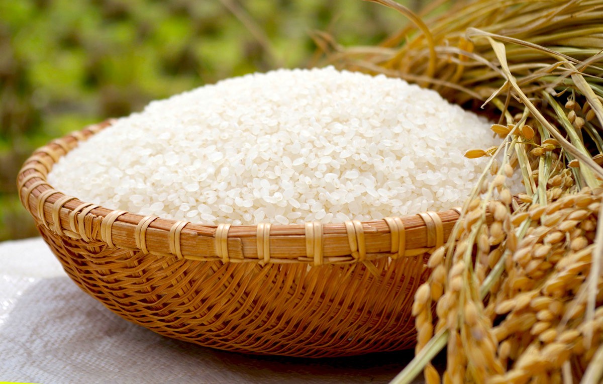 gạo xuất khẩu