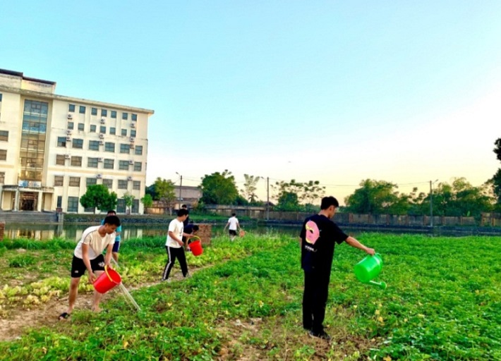 Vườn rau sạch của sinh viên tăng gia