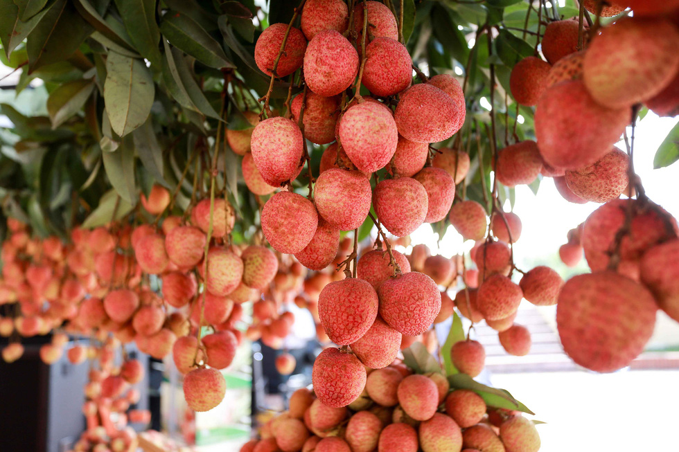 Nhiều dư địa cho hoa quả, trái cây nhiệt đới vào thị trường châu Âu