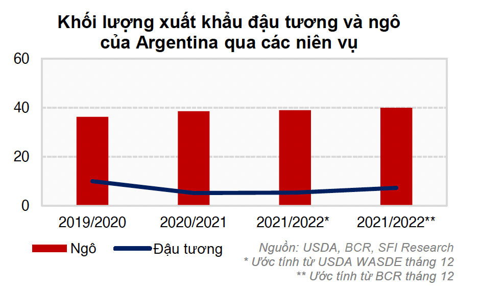 Xuất khẩu ngô của Argentina