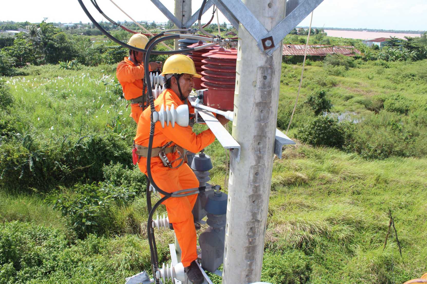 EVNSPC chuẩn bị nhiều phương án đảm bảo cấp điện chống hạn và xâm nhập mặn tại các tỉnh ĐBSCL