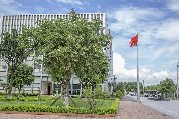 Cây xanh được tròng tại Công ty