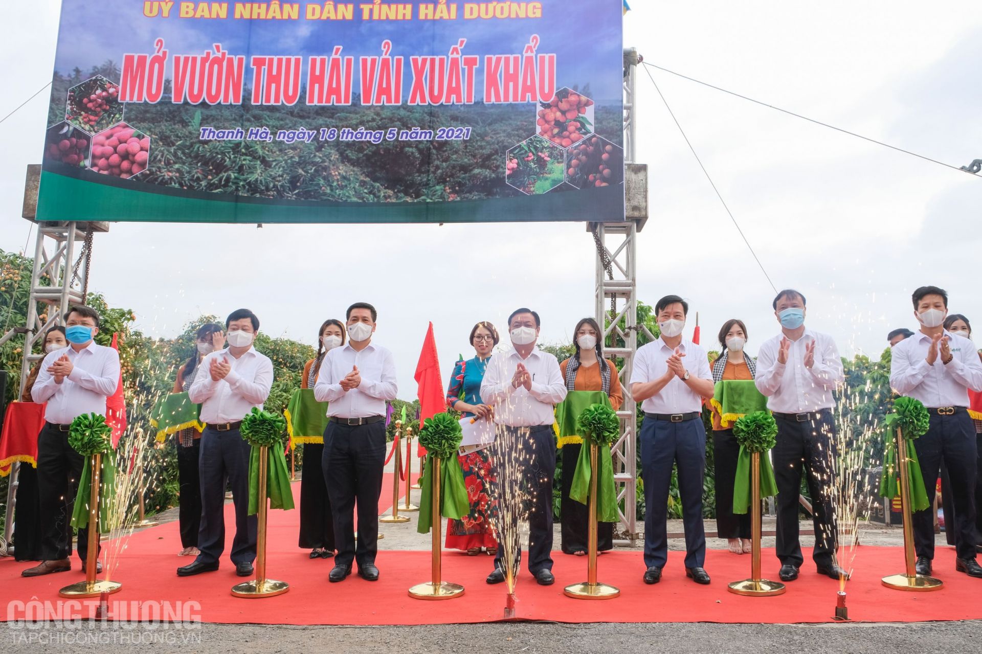 Nghi lễ cắt băng mở vườn hái vải xuất khẩu tại thôn thôn Thanh Lanh, xã Thanh Quang, huyện Thanh Hà, tỉnh Hải Dương