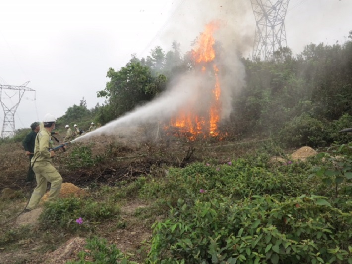 PTC2 diễn tập phòng chống cháy rừng