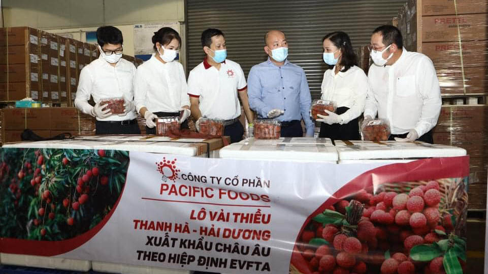 Lô vải thiều Việt Nam đầu tiên xuất khẩu theo Hiệp định EVFTA