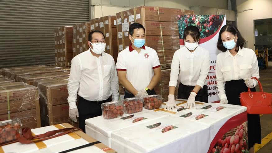 Lô vải thiều Việt Nam đầu tiên xuất khẩu theo Hiệp định EVFTA