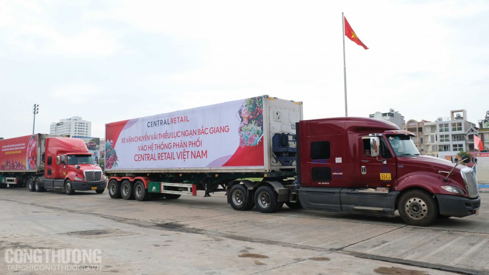 Các xe container vận chuyển vải thiều Lục Ngạn - Bắc Giang vào hệ thống phân phối của Central Retail