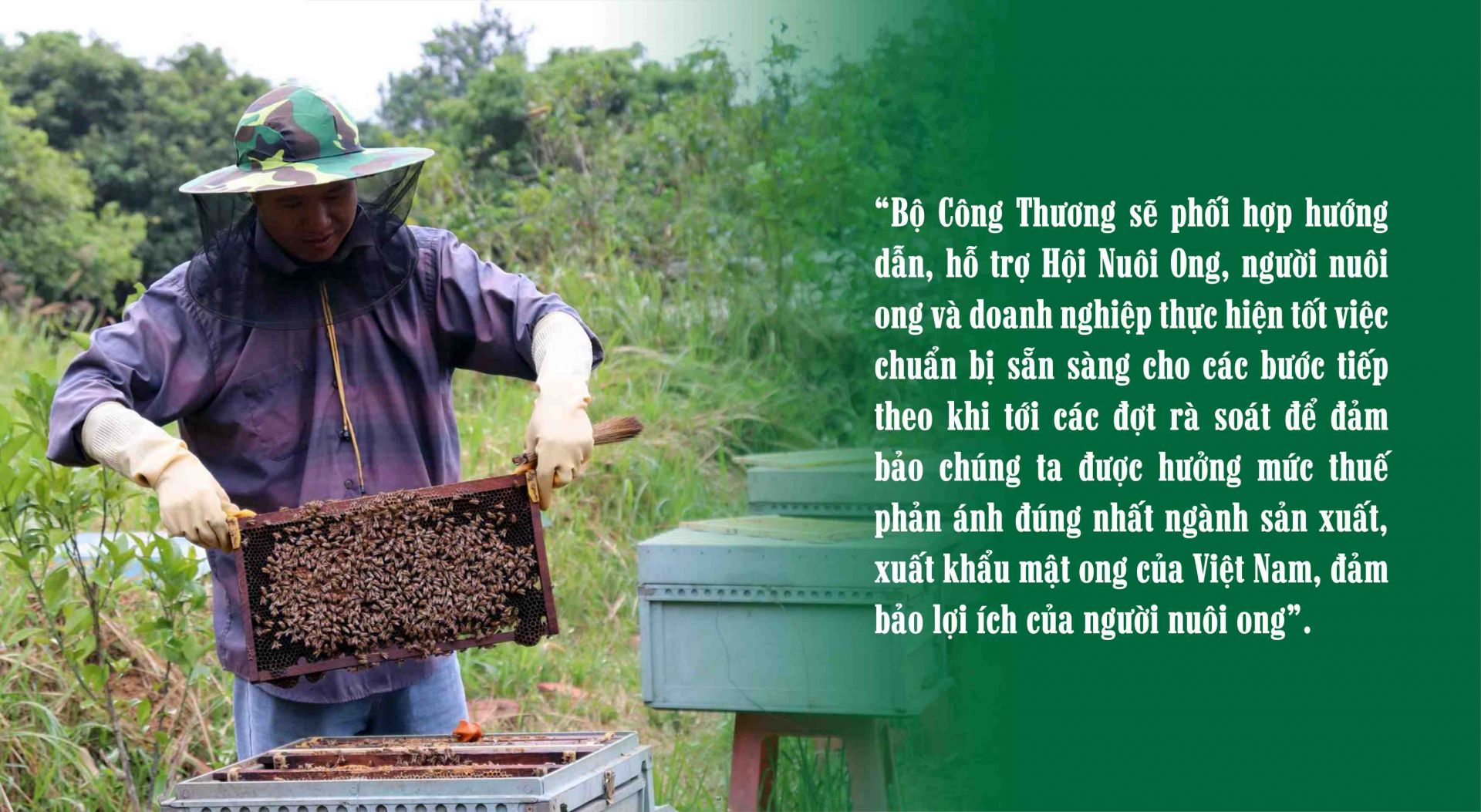 Từ chuyện mật ong xuất sang Hoa Kỳ nhìn ra nông sản Việt