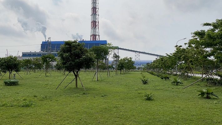 Môi trường xanh trong Nhà máy Nhiệt điện Thái Bình