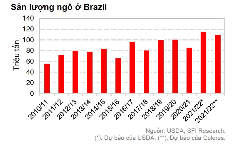 Sản lượng ngô của Brazil