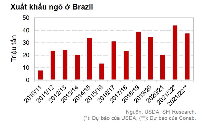 Dự báo xuất khẩu ngô của Brazil
